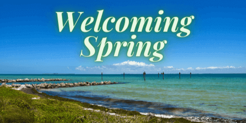 Welcoming spring with coastal view of clear blue ocean, rocky shoreline, and vibrant green grass under a bright blue sky.