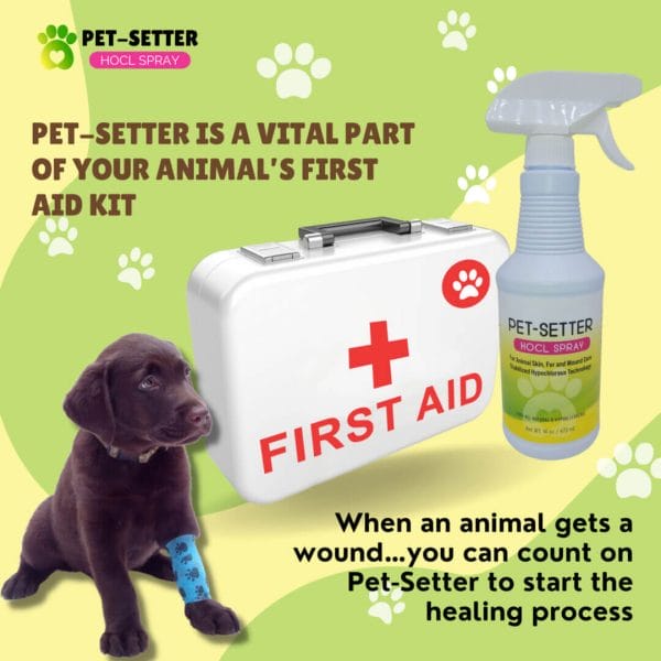 Pet-Setter for Pet First Aid