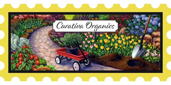Curativa Organics garden scene with flowers, shovel, and red wagon on a stone path, emphasizing organic gardening.